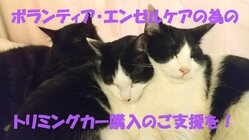 ボランティア、エンゼルケアの為のトリミングカーを購入したい！ のトップ画像