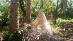 クバの杜プロジェクトin宮古島　アクション1：クバ草紙（本）を作る のトップ画像