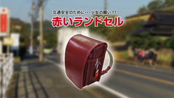 無くしたい。交通事故と死亡事故を‼️ のトップ画像