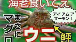 これ位とっちらかった配信者になりたい。 のトップ画像