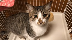 12月24日受診しました🏥