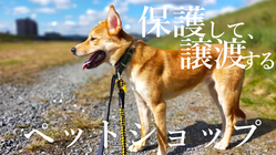 長寿食ドッグフード＆無添加お魚おやつ購入で保護犬活動を支援！ のトップ画像