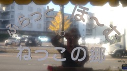 家から出にくい子どもたちや、主婦の方など地域の家族への居場所づくり のトップ画像