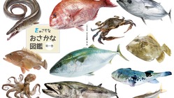海の豊かさを守ろう！愛媛の魚食文化を伝えるおさかな図鑑を作りたい のトップ画像
