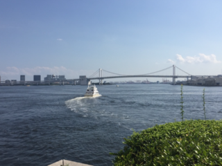 東京五輪 トライアスロン会場を定期的に潜水し水質を調査したい