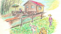 京都・伏見にドッグラン＆交流の場を作りたい のトップ画像