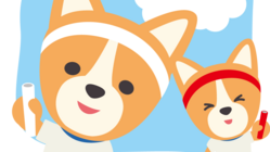 わんわん運動会 のトップ画像