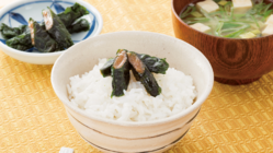 知る人ぞ知る。ここでしか味わえない「最高品質」のしそ巻きをあなたへ のトップ画像