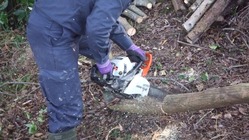 淡路島の農業と里山守り、活性化させたい！！ のトップ画像