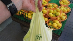 脱レジ袋！「黄色いエコハンカチ」を普及させよう！ のトップ画像