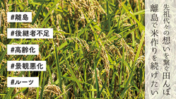 先祖代々の想いを繋ぐ田んぼ。離島で米作りを続けたい！宮城県浦戸諸島 のトップ画像