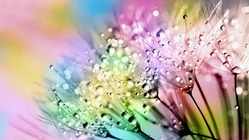 みなさんと一緒に2023大会にて全ての分科会に情報保障をつけたい！ のトップ画像