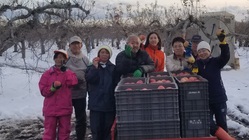 多様性を重視したまちづくり拠点の古民家を修繕したい。 のトップ画像