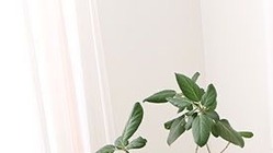 高齢者、障碍者、要介護や子育てを行う日本全国の方々の雇用を促進する のトップ画像