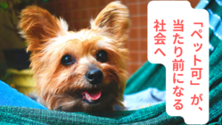 「ペット可」が当たり前になる社会を実現したい のトップ画像