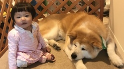 秋田県由利本荘市にペット同伴で楽しめるカフェを開きたい！ のトップ画像