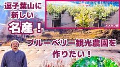 逗子・葉山に新しい名産を！ブルーベリー観光農園を造りたい のトップ画像