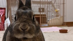 明日も生きたいです!! よろしくお願いします!  奇跡が!! のトップ画像