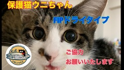 FIPドライタイプのウニちゃん のトップ画像