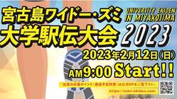 大学駅伝による「スポーツアイランド宮古島」の推進 のトップ画像