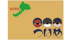 みんなで調べよう！福井県産つばめの巣 のトップ画像