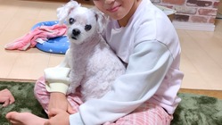 手術をして助けたいです のトップ画像