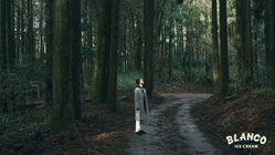 農地を活用し熊本県山都町のハーブティを作りたい！ のトップ画像