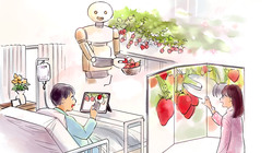 常陸大宮市から、BodySharing技術で農福連携の輪を！ のトップ画像