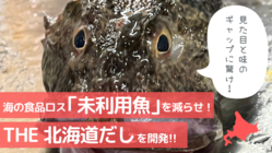 未利用魚を活用し今までにない美味しさの"The北海道だし"を創る！ のトップ画像