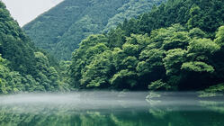 湖が水風呂のテントサウナ施設『白丸village』オープン のトップ画像