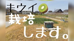 実家の裏庭でレッドキウイを栽培し限界集落を盛り上げる のトップ画像