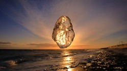 道東の動植物や風景の写真集 のトップ画像