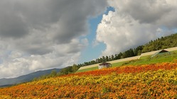 増加傾向の児童虐待、イジメに歯止めをかける為に私達が出来る事から のトップ画像