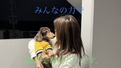 大阪府藤井寺市周辺で犬猫殺処分ゼロにする保護施設の建設 のトップ画像