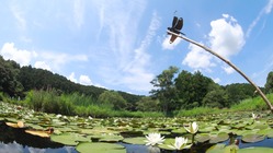 新しい環境保全のカタチをトンボ王国から発信したい のトップ画像