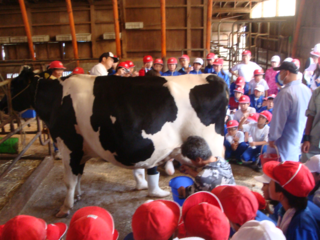 山形発！酪農体験教室から導き出した命の重さを伝える本を配布！ のトップ画像