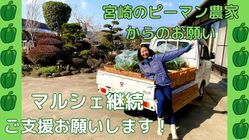 宮崎県の美味しい野菜を多くの人に知ってほしい！ のトップ画像