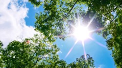 「次代を担う支援者養成研修」を応援してください！ のトップ画像