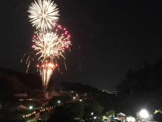 山形県村山市「よるのバラまつり」で未来へ向けた希望の花火を！ のトップ画像