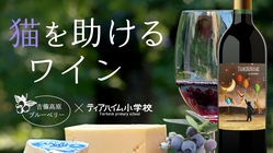 里親さまからのお便りのご紹介