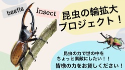 昆虫の魅力をたくさんの人に伝えたい　昆虫の輪拡大プロジェクト！！ のトップ画像