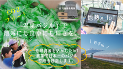 八幡平スマートファーム～フレッシュ温泉バジル～沢山の笑顔のために～ のトップ画像