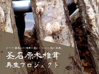 東日本大震災の奇跡と悲劇の町鵜住居で釜石原木椎茸を再生したい のトップ画像