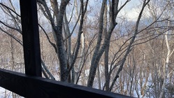白樺林で心身共に健康になれる場所を作りたい のトップ画像