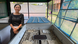 カンボジアでカシューナッツを使ったコウロギ粉もん事業で新規雇用を のトップ画像