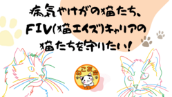 病気やけがの猫たち、FIV（猫エイズ）キャリアの猫たちを守りたい！ のトップ画像