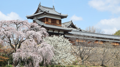 大和の女性が活躍するきっかけとなる場を創り出したい のトップ画像