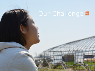 京野菜万願寺とうがらし生産の為のビニールハウスを建設したい のトップ画像