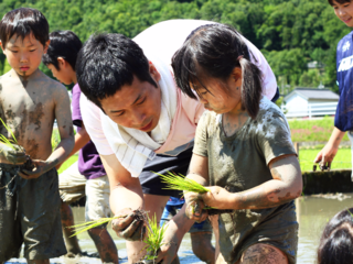 家族で田植えと稲刈りを！お米の大切さや美味しさを教えたい！ のトップ画像