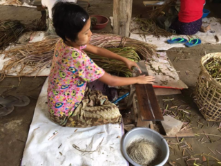 ミャンマーの「蓮糸」を使ったストールで、生産者さんに収入を！ のトップ画像
